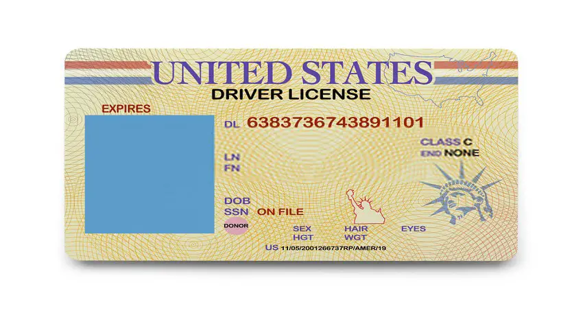 Where Is the Audit Number on TX Driver’s License