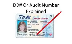 Where Is the Audit Number on TX Driver’s License