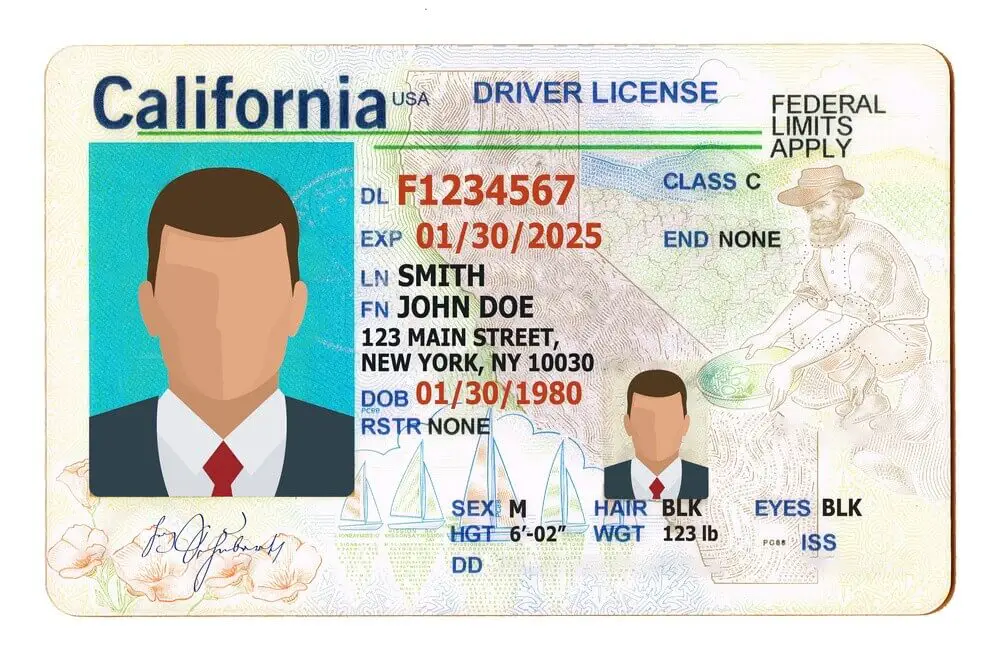 How Do I Speak To Someone At California DMV? (2024) Petrol Gang