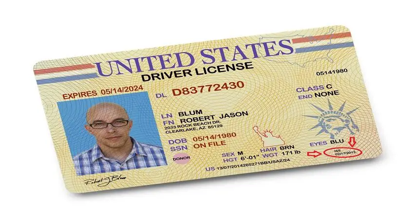 ISS on a driver’s license mean
